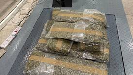 Dubai Customs officers seize 12.5kg of marijuana hidden in air passenger's baggage