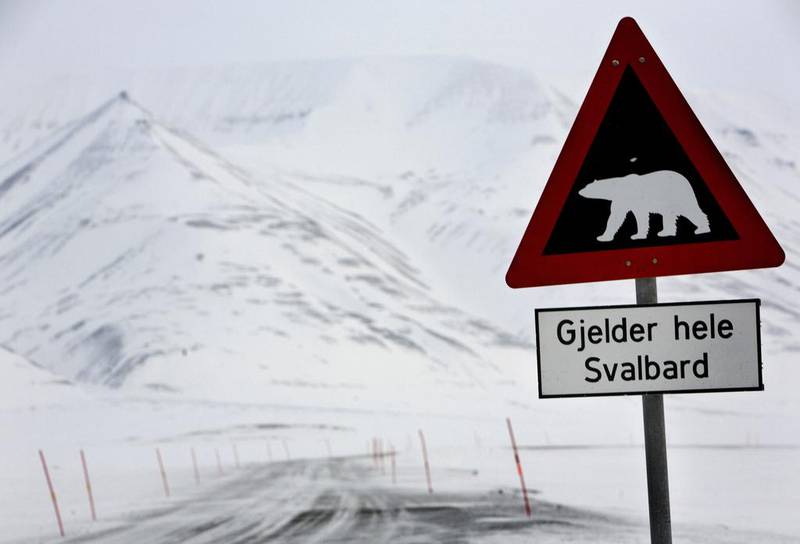 Picture taken on February 25, 2008, shows a road sign sporting a polar bear notifing motorists of their presence outside the arctic town of Longyearbyen in Norway. AFP Photo
