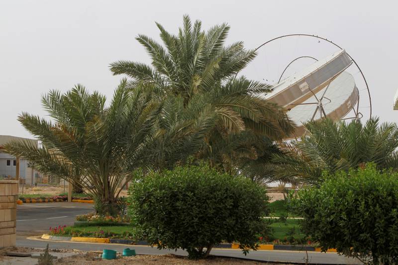 Solar dishes can be seen behind trees at the King Abdulaziz City of Sciences and Technology.  Reuters