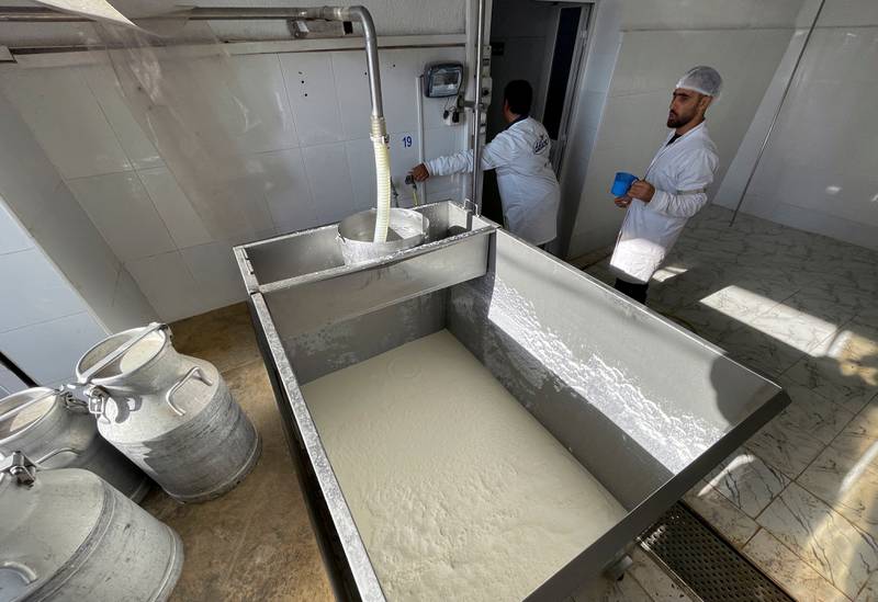 Milk is processed at the collection company, Delice.