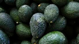 US suspends Mexican avocado imports after receiving threats