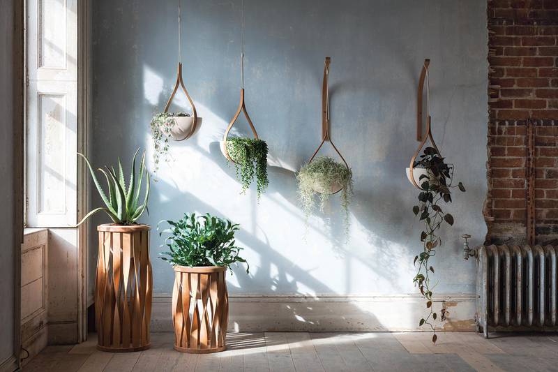 Add indoor plants to your home and workspace tpo boost well-being. Courtesy Tom Raffield