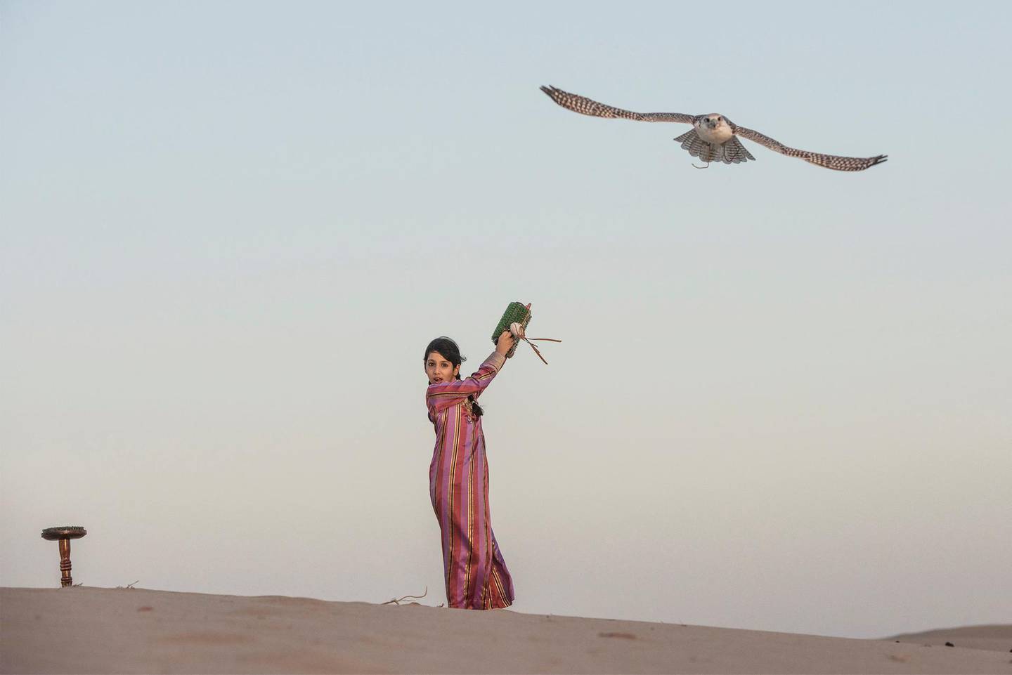 In the beautiful Abu Dhabi desert background this photograph show the young girl Osha breaking into male dominated sport and developing her skills in falconry. Vidhyaa Chandramohan for The National