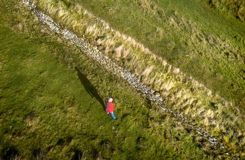 Hadrian's Wall at Steel Rigg, Northumberland. The Wall has been topped with turf to stop people walking on the top. 