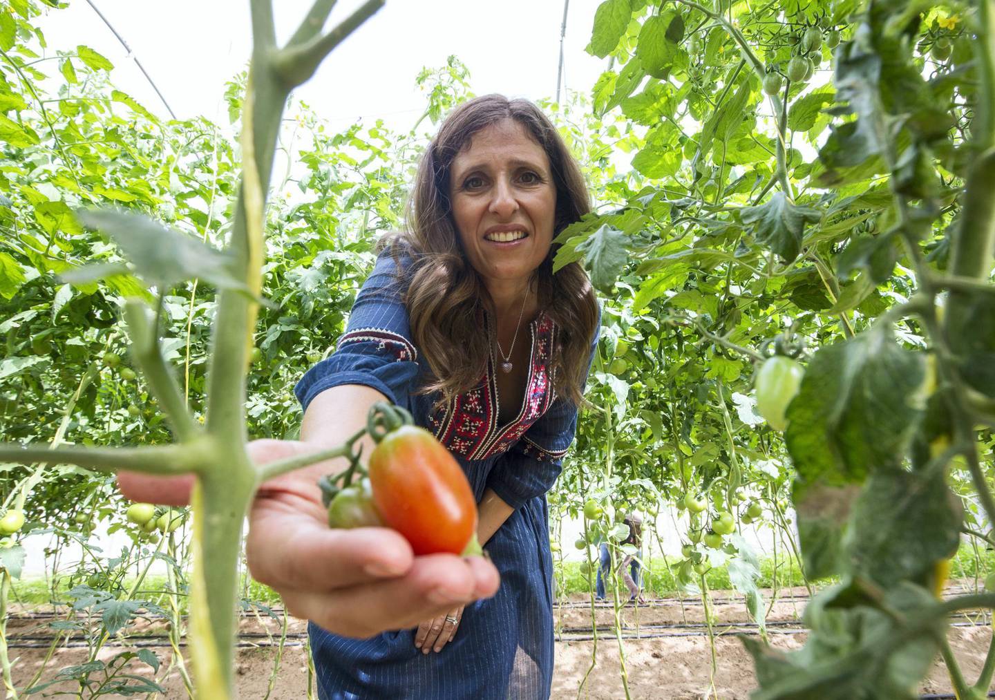 SHARJAH, UNITED ARAB EMIRATES - Elena Kinane founder of Greenheart Organic Farm at her farm in Sharjah.  Leslie Pableo for The National for Melanie Swan's story