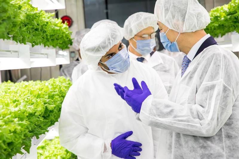 UAE’s Newest Vertical Farm, Smart Acres, Successfully Launches, Propelling the UAE’s Agricultural Development