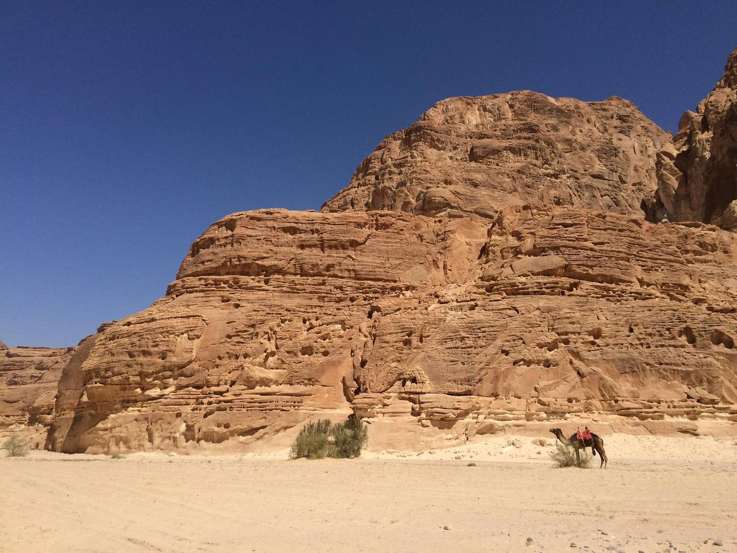 It takes in almost every peak in the Peninsula. Yasmin El-Beih