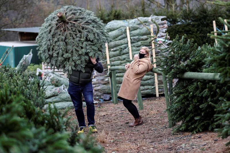 A person carries a tree at a christmas tree farm in Keele, Staffordshire. Reuters