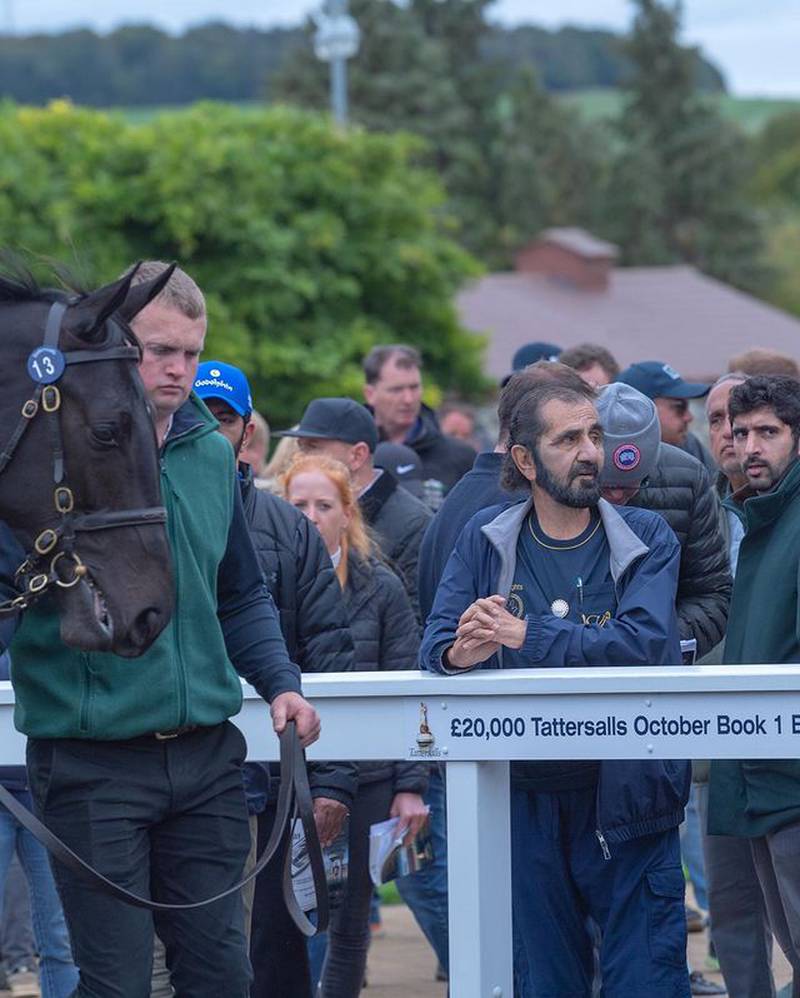 Sheikh Mohammed and Sheikh Hamdan attend a racehorse auction by Tattersalls.