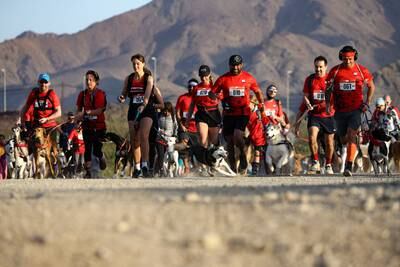 Participants compete with their pets during the HK9 Canicross event in Hatta, UAE. All photos by Reuters