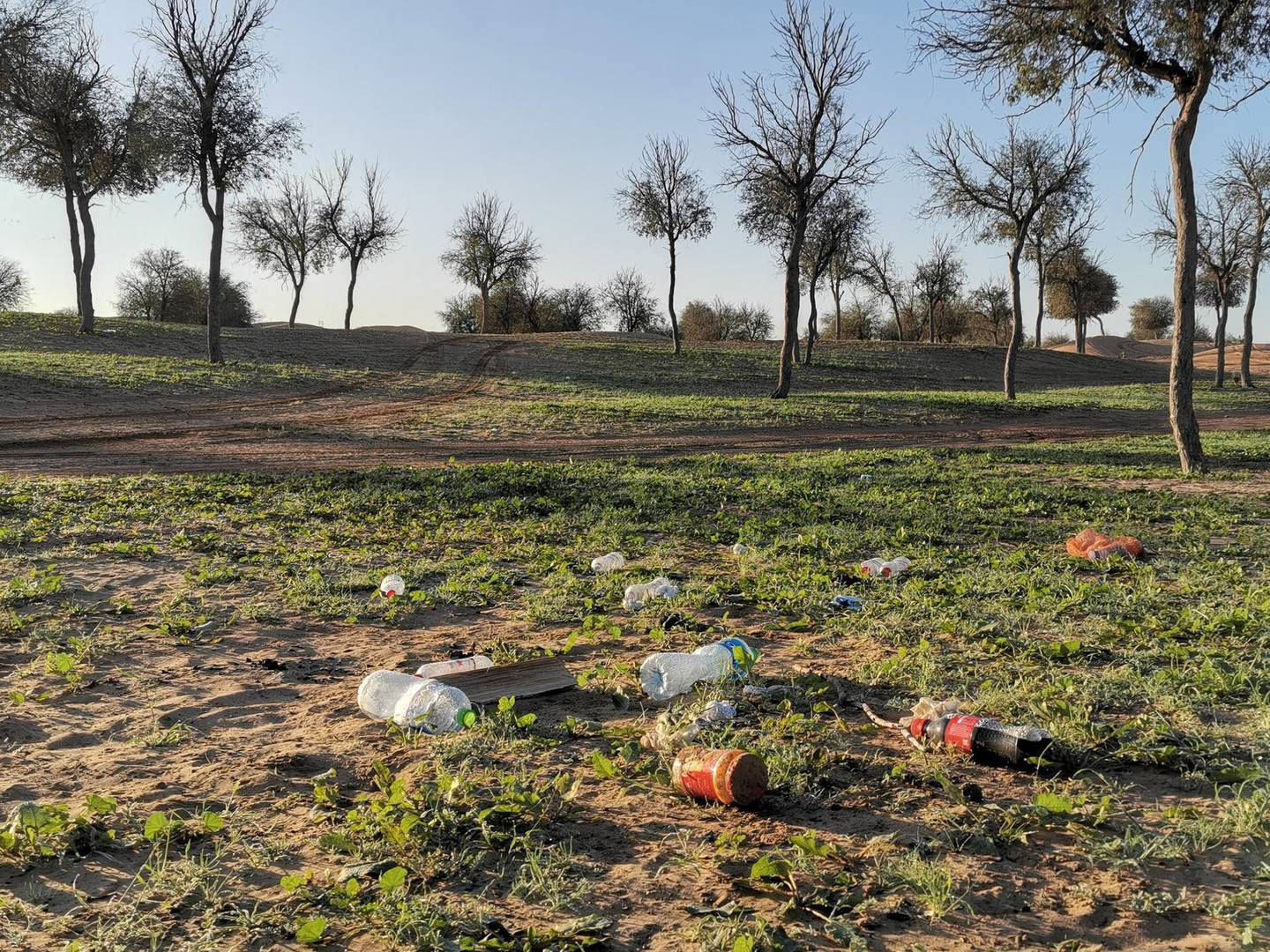 Plastic bottles left behind by campers in Al Mazraa area of Ras Al Khaimah. Courtesy Falah Mroish