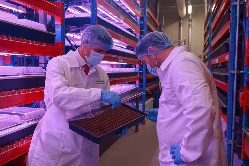 Agronomy experts inspect the seeds at Bustanica in Dubai. The 330,000-square-foot farm near Al Maktoum International Airport is a joint venture between Emirates Flight Catering and Crop One, a firm specialising in technology-driven indoor vertical farming. All photos: Bustanica