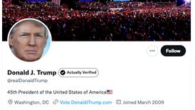 Trump's Twitter account reinstated after Musk poll