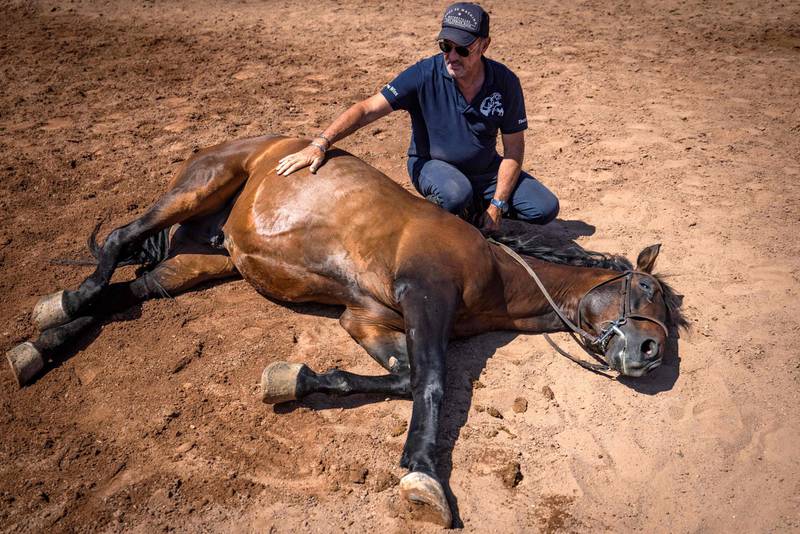 Joel Proust looks after one of his stallions during a training exercise. Morocco's dramatic deserts and palm-filled valleys have long catered for big-budget films needing Middle East locations. AFP