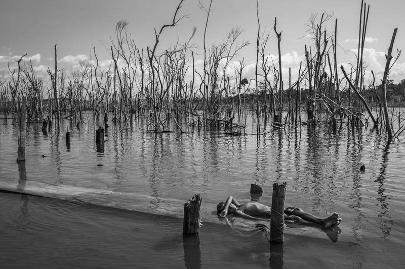 This image provided by World Press Photo, part of a series titled Amazonian Dystopia, by Lalo de Almeida for Folha de Sao Paulo/Panos Pictures which won the World Press Photo Long-Term Project award,, shows A boy rests on a dead tree trunk in the Xingu River in Paratizao, a community located near the Belo Monte hydroelectric dam, Par·, Brazil, on August 28, 2018.  He is surrounded by patches of dead trees, formed after the flooding of the reservoir.  (Lalo de Almeida for Folha de Sao Paulo / Panos Pictures / World Press Photo via AP)