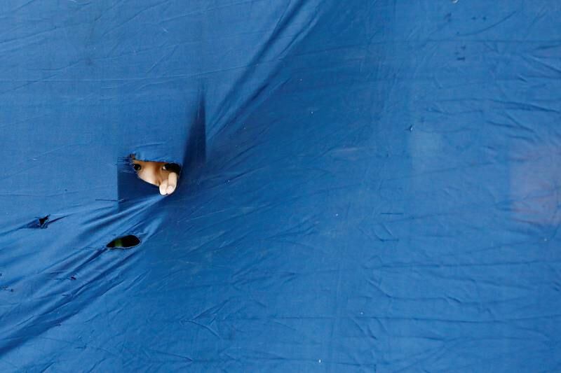 A child peeks through a tarpaulin to watch a sacrifice ritual at the Great Mosque of Al Azhar in Jakarta, Indonesia. Reuters