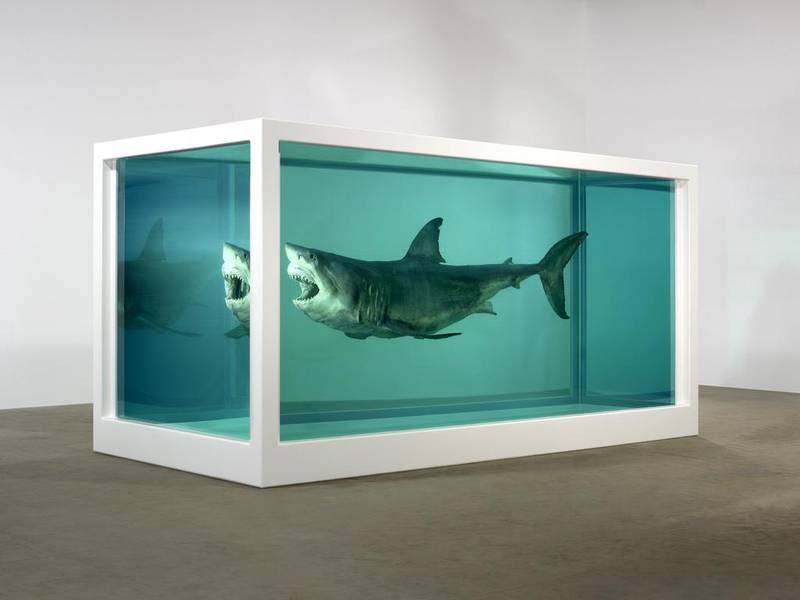 The Physical Impossibility of Death in the Mind of Someone Living, by Damien Hirst is an artpiece of a tiger shark suspended in formaldehyde as part of Relics in Doha. Courtesy Damien Hirst / courtesy Qatar Museum Authority