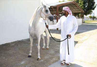 Emirati Mohamed Al Kumaiti, 37, general manager of Ajman Equestrian Club, in a horse stable in Ajman. Sarah Dea / The National