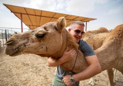 Dubai, United Arab Emirates - January 19, 2019: Lloyd De Villiers gets some camel hugging therapy. Images of a new tourist attraction in Dubai called The Camel Farm. Saturday, January 19th, 2019. E77, Dubai. Chris Whiteoak/The National