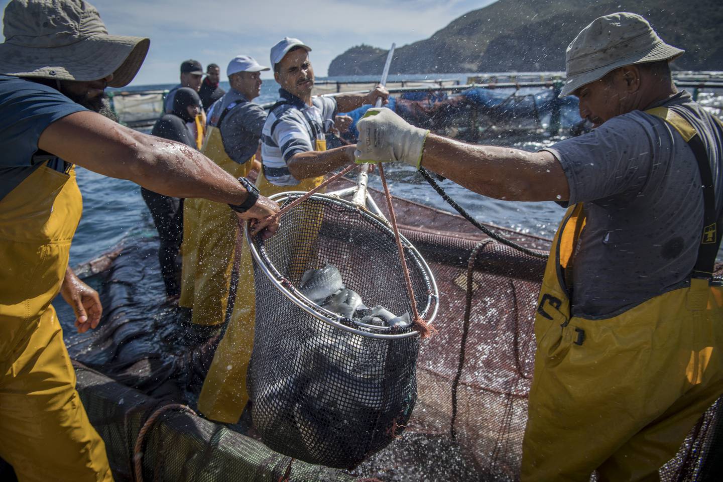 A fish farm off the coast of the Moroccan town of M'diq. The UK and Morocco have established a sub-committee focused on trade, investment, agriculture and fisheries. AFP