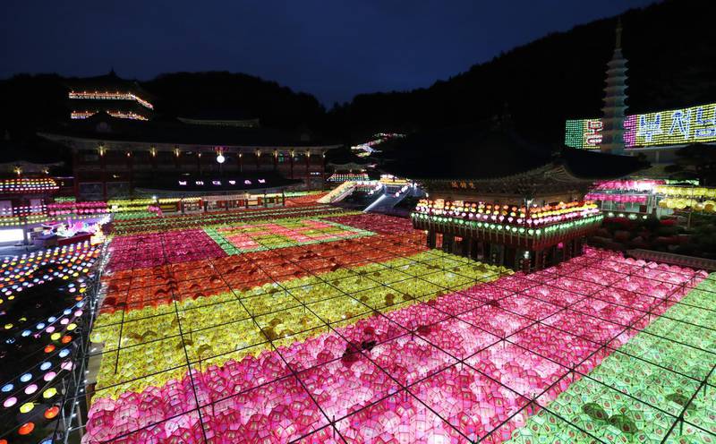 About 50,000 lotus lanterns are lit ahead of Buddha's birthday, which falls on 22 May, at Samgwang Temple in Busan, South Korea. Yonhap / EPA