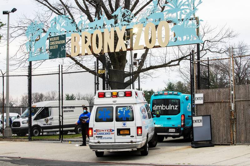 Ambulances go inside of the Bronx Zoo as the outbreak of the coronavirus disease (COVID-19) continues in the Bronx borough of New York City, New York, U.S., April 5, 2020. REUTERS/Eduardo Munoz