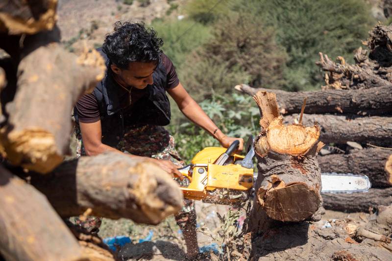 A man cuts trees with a chainsaw to make firewood, on the outskirts of Taiz, Yemen. All images by AFP