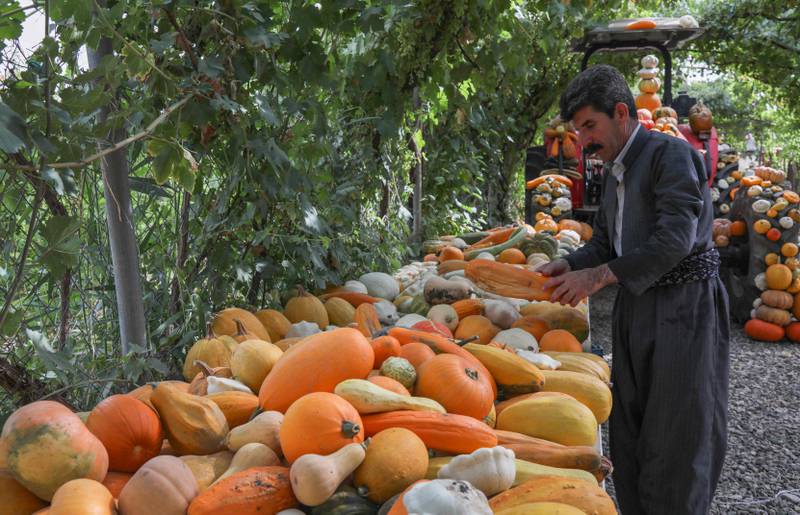 Mr Muhamad, 50, has almost 500,000 Facebook followers and posts weekly videos on topics such as protecting fruit trees and dealing with pests at his farm near Halabja.