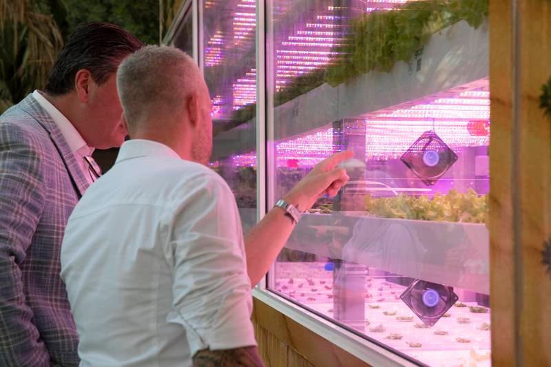 By harvesting a variety of herbs, microgreens, lettuce and other ingredients at the hydroponic centre, the hotel offers daily delivery of local produce.
