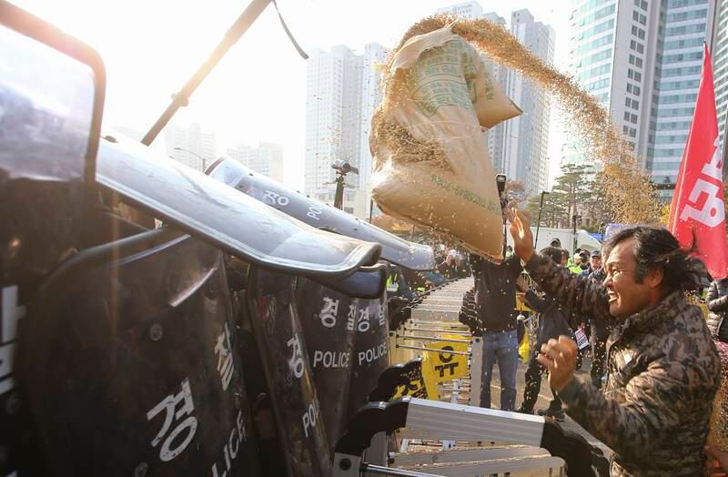 South Korean farmers throw an ear of rice at police during a rally in Seoul against the government's agricultural policies. EPA