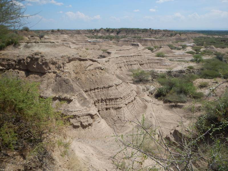 'The Omo-Kibish formation' in The Omo National Park, south-western Ethiopia. The remains of the Kibish Omo I from Ethiopia, among the oldest known fossils of Homo sapiens in eastern Africa, could be at least 36,000 years older than previously thought, according to a paper published in Nature.  The minimum age is estimated to be approximately 233,000 years old, a timescale that aligns more consistently with models of modern human evolution. AFP