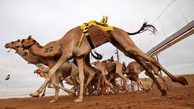 Sharjah Ruler gives Dh6m to organise camel festival