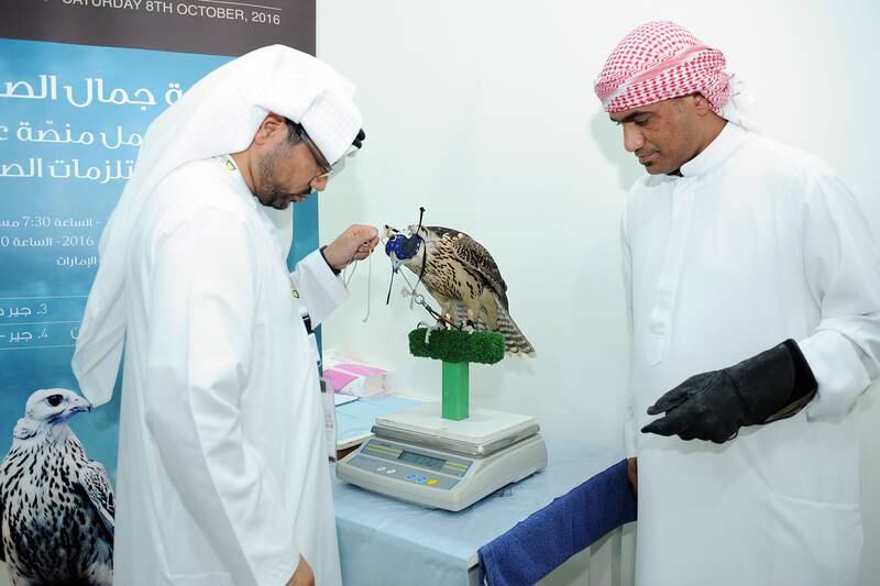 A jury comprising Emirati and international experts assesses the falcons based on criteria such as weight, symmetry and colour of feathers and the general aesthetic appearance of the bird.
