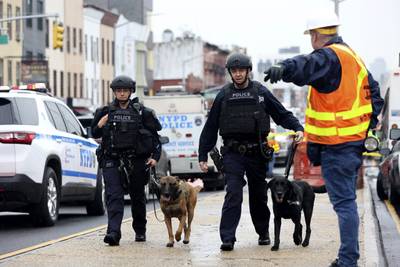 Sniffer dogs at the station. AP