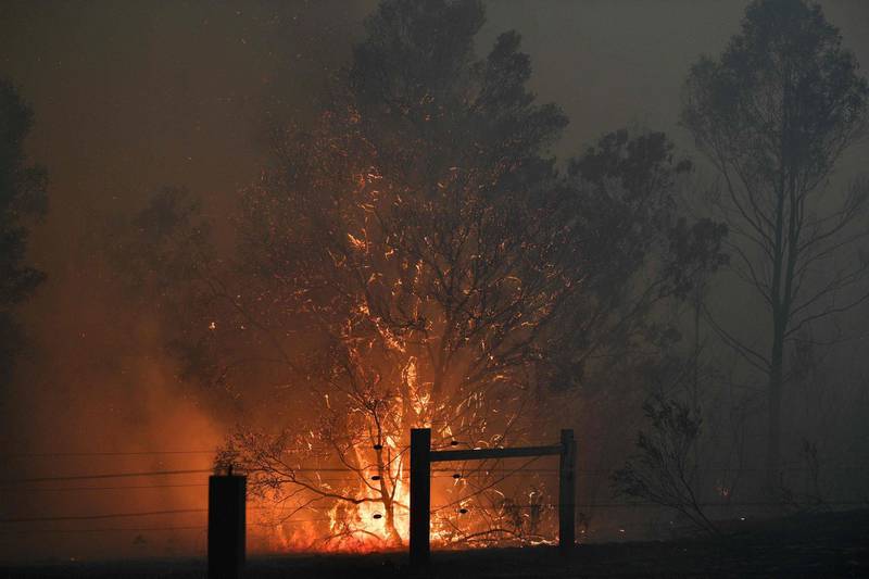 Smoke and flames rising from burning trees as bushfires hit the area around the town of Nowra in the Australian state of New South Wales. AFP