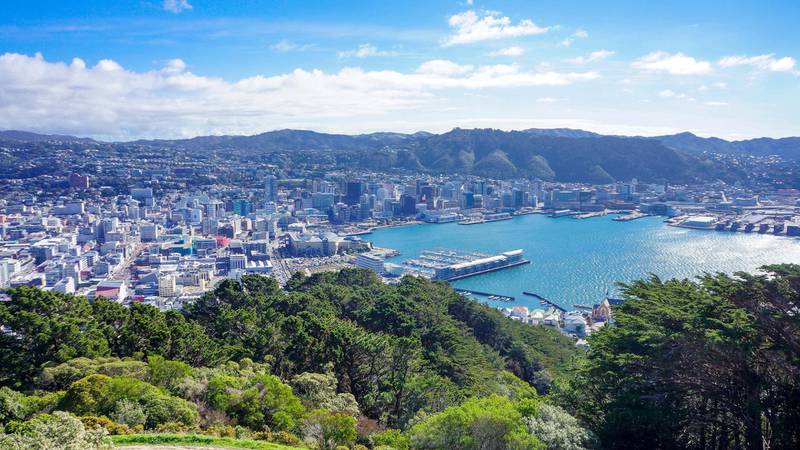 Wellington In All Its Glory. Getty Images