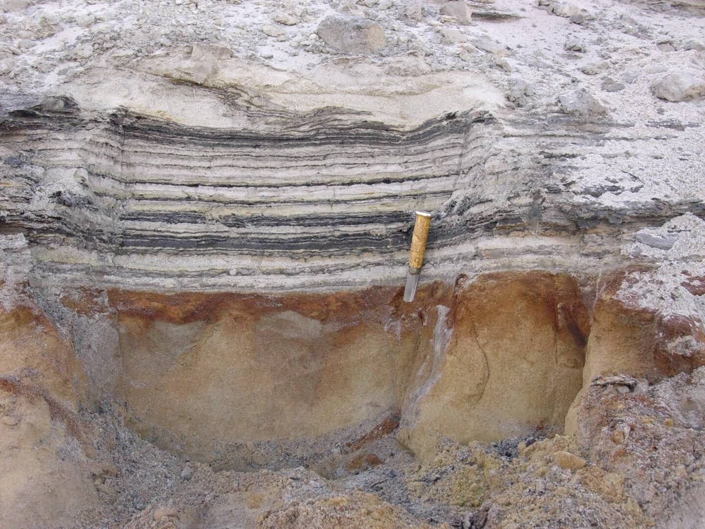 The organic layers show traces of the rich plant flora and insect fauna that lived two million years ago at Kap København in North Greenland. Photo: Professor Svend Funder