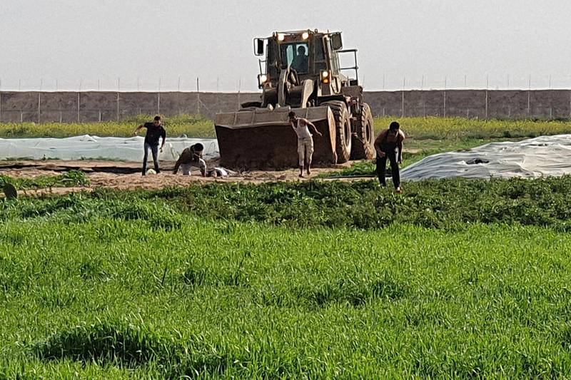 Men trying to collect a body as bulldozer approaches them, along the Gaza-Israel border east of Khan Yunis in the southern Gaza Strip.  AFP