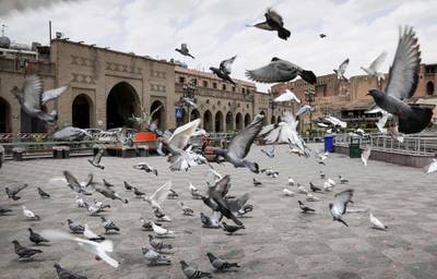Pigeons flying in an empty square outside Erbil Citadel in the capital of the northern Iraqi Kurdish autonomous region. AFP