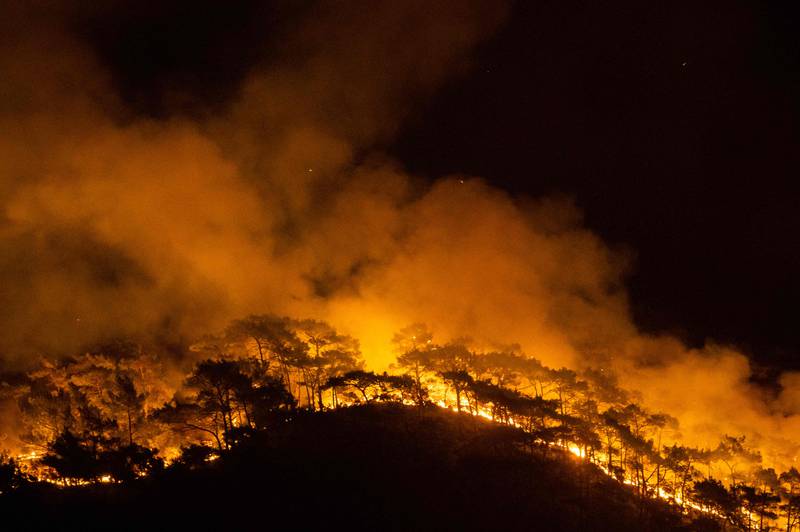 A forest burns in Marmaris, a popular tourist destination in south-western Turkey.