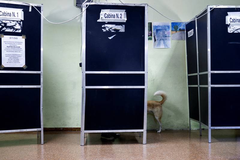 A dog stands behind a voting booth at a polling station during the snap election in Rome. Reuters