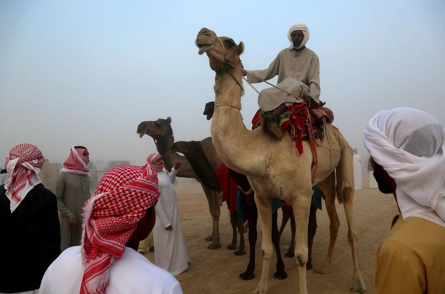 Al Dhafra, 23, Dec, 2017: Camels on the Million Street before the Berak Competition at the Al Dhafra Festival in UAE  . Satish Kumar for the National/ Story by Anna