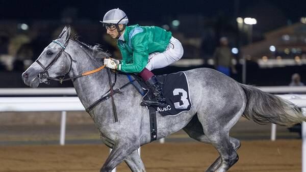 Antonio Fresu and RB Kingmaker eases to victory in the Arabian Triple Crown Round 3 at Abu Dhabi’s final meeting of the season on Thursday, March 30, 2023. Photo: Adiyat Racing Plus