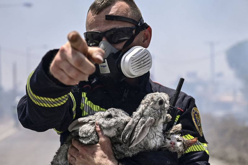 A firefighter clutches a cat and two rabbits rescued from the flames on the Greek island of Rhodes. AFP