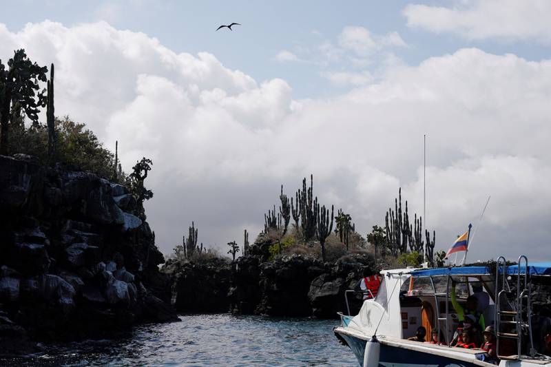 Port authorities said the people aboard the boat were from the US, Canada and Ecuador. Reuters