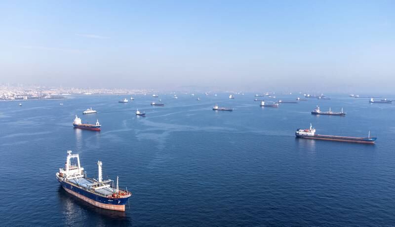 Commercial vessels, including those which are part of a Black Sea grain deal, wait to pass the Bosphorus strait off the shores of Istanbul, Turkey, on Monday.  Reuters