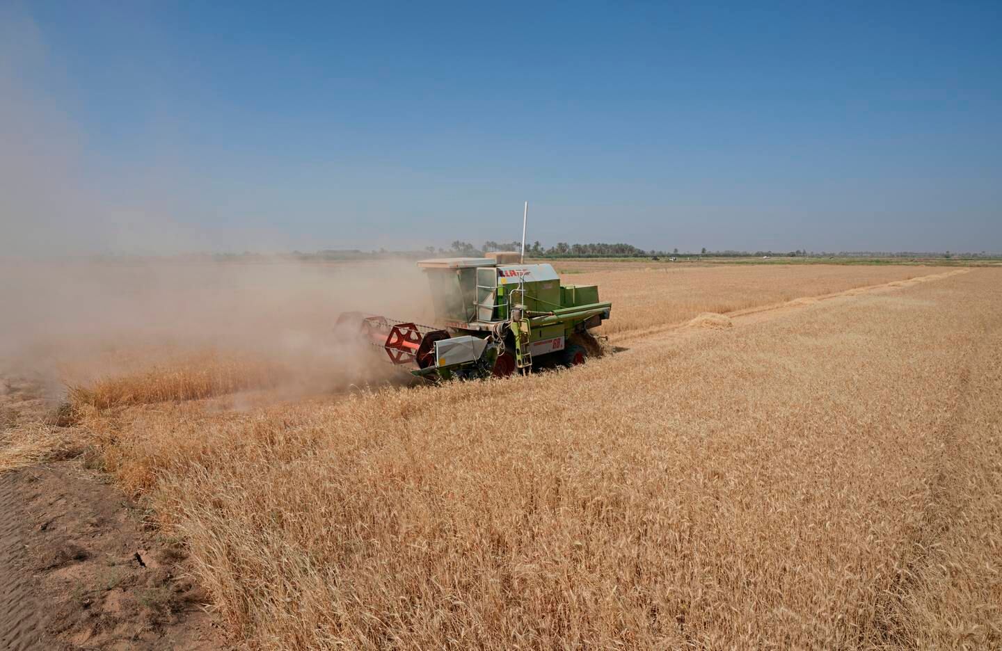 A combine harvester at the middle of a wheat field harvesting crops in Yousifiyah, Iraq. AP
