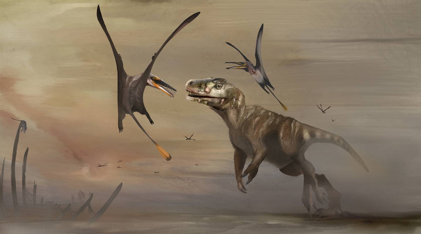 An illustration shows the newly identified Jurassic Period flying reptile, or pterosaur, called 'Dearc sgiathanach', whose fossil was found on a rocky beach at Scotland's Isle of Skye, flying alongside a large meat-eating dinosaur. 