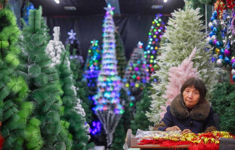 A woman selling Christmas trees, Zhejiang Province, China, December 11. EPA