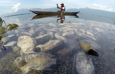 A fisherman paddles a wooden boat at Maninjau lake, which has experienced a mass fish die-off, in Agam regency, West Sumatra province. Reuters